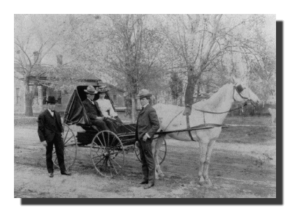 picture of horse and carriage from Colon, St Joseph Co., MI